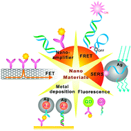 Graphical abstract: Functional nanoprobes for ultrasensitive detection of biomolecules