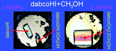 Graphical abstract: Pressure induced transformations of 1,4-diazabicyclo[2.2.2]octane (dabco) hydroiodide: diprotonation of dabco, its N-methylation and co-crystallization with methanol