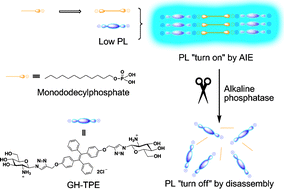 Graphical abstract: Glucosamine hydrochloride functionalized tetraphenylethylene: A novel fluorescent probe for alkaline phosphatase based on the aggregation-induced emission