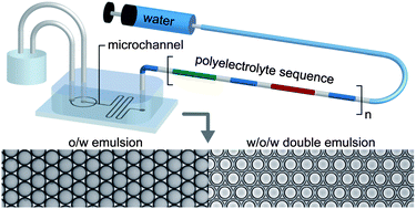 Graphical abstract: Hydrophilic PDMS microchannels for high-throughput formation of oil-in-water microdroplets and water-in-oil-in-water double emulsions