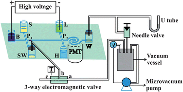 Graphical abstract: A compact and low-cost miniaturized analysis system composed of microchip electrophoresis and chemiluminescence detection manipulated by a simple subatmospheric pressure fluid-driven device