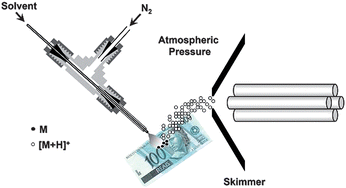 Graphical abstract: Instantaneous chemical profiles of banknotes by ambient mass spectrometry