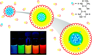 Graphical abstract: Microwave induced center-doping of silver ions in aqueous CdS nanocrystals with tunable, impurity and visible emission