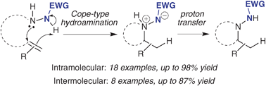 Graphical abstract: Improved Cope-type hydroamination reactivity of hydrazine derivatives