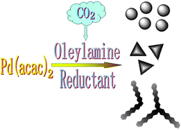 Graphical abstract: Shape controlled synthesis of palladium nanocrystals by combination of oleylamine and alkylammonium alkylcarbamate and their catalytic activity