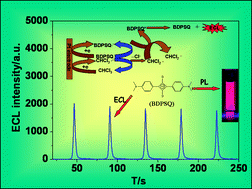 Graphical abstract: Electrogenerated chemiluminescence of bis[4-(dimethylamino)phenyl]squaraine