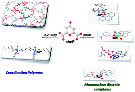 Graphical abstract: Mononuclear discrete complexes and coordination polymers based on metal(ii) chelidonate complexes with aromatic N,N-chelating ligands