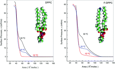 Graphical abstract: A comparative study of F-DPPC/DPPC mixed monolayers. Influence of subphase temperature on F-DPPC and DPPC monolayers