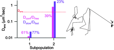 Graphical abstract: Trajectory analysis of single molecules exhibiting non-Brownian motion