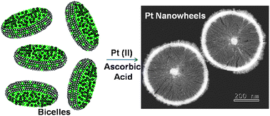 Graphical abstract: Templated growth of platinum nanowheels using the inhomogeneous reaction environment of bicelles