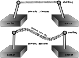 Graphical abstract: Solvent response of polymers for micromachine manipulation