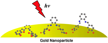 Graphical abstract: Interactions of Schiff-base ligands with gold nanoparticles: structural, optical and electrocatalytic studies