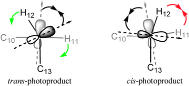 Graphical abstract: Product formation in rhodopsin by fast hydrogen motions