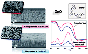Graphical abstract: ZnO solar cells with an indoline sensitizer: a comparison between nanoparticulate films and electrodeposited nanowire arrays