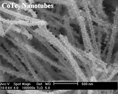 Graphical abstract: Selective synthesis and magnetic properties of uniform CoTe and CoTe2 nanotubes