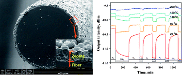 Graphical abstract: Acidic ZSM-5 zeolite-coated long period fiber grating for optical sensing of ammonia