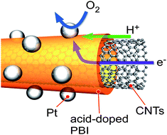 Graphical abstract: Bottom-up design of carbon nanotube-based electrocatalysts and their application in high temperature operating polymer electrolyte fuel cells