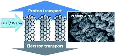 Graphical abstract: High performance of catalysts supported by directly grown PTFE-free micro-porous CNT layer in a proton exchange membrane fuel cell