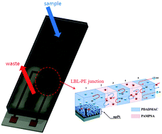 Graphical abstract: Nanoporous platinum solid-state reference electrode with layer-by-layer polyelectrolyte junction for pH sensing chip