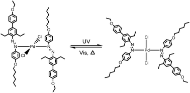 Graphical abstract: A reversibly photoswitchable mononuclear palladium(ii) complex with ortho-diethylated azobenzene ligands