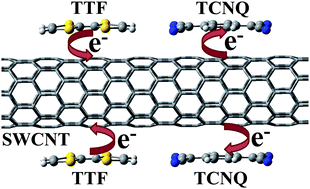 Graphical abstract: Doping single-walled carbon nanotubes through molecular charge-transfer: a theoretical study