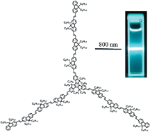 Graphical abstract: Synthesis of star-shaped monodisperse oligo(9,9-di-n-octylfluorene-2,7-vinylene)s functionalized truxenes with two-photon absorption properties