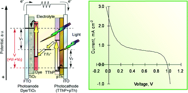 Graphical abstract: A Z-scheme type photoelectrochemical cell consisting of porphyrin-containing polymer and dye-sensitized TiO2 electrodes