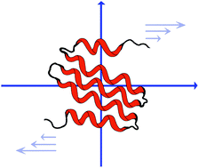 Graphical abstract: α-Helix unfolding in simple shear flow