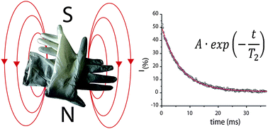 Graphical abstract: A method based on time domain nuclear magnetic resonance for the forensic differentiation of latex gloves