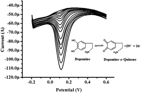 Graphical abstract: Synthesis of MgFe2O4 nanoparticles and MgFe2O4 nanoparticles/CPE for electrochemical investigation of dopamine