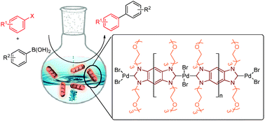 Graphical abstract: A novel water-soluble NHC-Pd polymer: an efficient and recyclable catalyst for the Suzuki coupling of aryl chlorides in water at room temperature