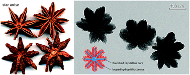 Graphical abstract: Novel “star anise”-like nano aggregate prepared by self-assembling of preformed microcrystals from branched crystalline-coil alternating multi-block copolymer