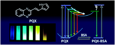 Graphical abstract: Development of a quinoxaline-based fluorescent probe for quantitative estimation of protein binding site polarity