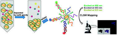 Graphical abstract: One-step synthesized silver micro-dendrites used as novel separation mediums and their applications in multi-DNA analysis
