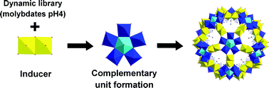 Graphical abstract: Spontaneous self-assembly of a giant spherical metal-oxide Keplerate: addition of one building block induces “immediate” formation of the complementary one from a constitutional dynamic library