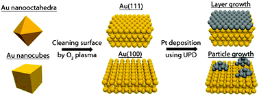 Graphical abstract: A distinct platinum growth mode on shaped gold nanocrystals