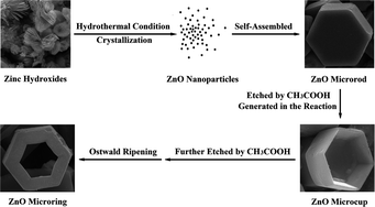 Graphical abstract: Template-free hydrothermal synthesis of hexagonal ZnO micro-cups and micro-rings assembled by nanoparticles