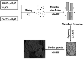 Graphical abstract: Self-assembled 3D flower-shaped NaY(WO4)2:Eu3+ microarchitectures: Microwave-assisted hydrothermal synthesis, growth mechanism and luminescent properties