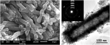 Graphical abstract: A novel synthesis method to produce silver-doped CeO2 nanotubes based on Ag nanowire templates