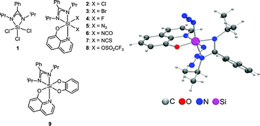 Graphical abstract: Novel neutral hexacoordinate benzamidinatosilicon(iv) complexes with SiN3OF2, SiN3OCl2, SiN3OBr2, SiN5O and SiN3O3 skeletons