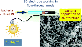 Graphical abstract: Three-dimensional microchanelled electrodes in flow-through configuration for bioanode formation and current generation