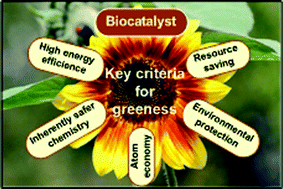 Graphical abstract: Industrial biotechnology—the future of green chemistry?