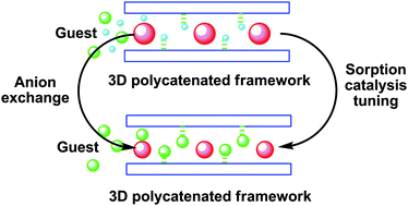 Graphical abstract: Anion-tuned sorption and catalytic properties of a soft metal–organic solid with polycatenated frameworks