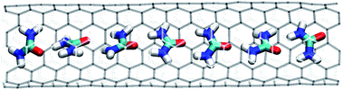 Graphical abstract: Molecular wire of urea in carbon nanotube: a molecular dynamics study