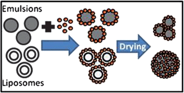 Graphical abstract: Assembling nanoparticle coatings to improve the drug delivery performance of lipid based colloids