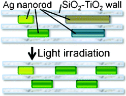 Graphical abstract: Length control of Ag nanorods in mesoporous SiO2–TiO2 by light irradiation