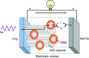 Graphical abstract: Photosensitization of ZnO rod electrodes with AgInS2 nanoparticles and ZnS-AgInS2 solid solution nanoparticles for solar cell applications