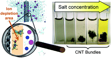 Graphical abstract: Molecular mechanisms of salt effects on carbon nanotube dispersions in an organic solvent (N-methyl-2-pyrrolidone)