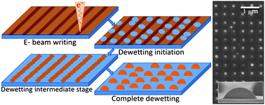 Graphical abstract: Self-organized nano-lens arrays by intensified dewetting of electron beam modified polymer thin-films