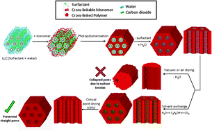 Graphical abstract: Structure retention in cross-linked poly(ethylene glycol) diacrylate hydrogel templated from a hexagonal lyotropic liquid crystal by controlling the surface tension